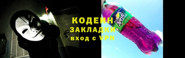 шишки Надым